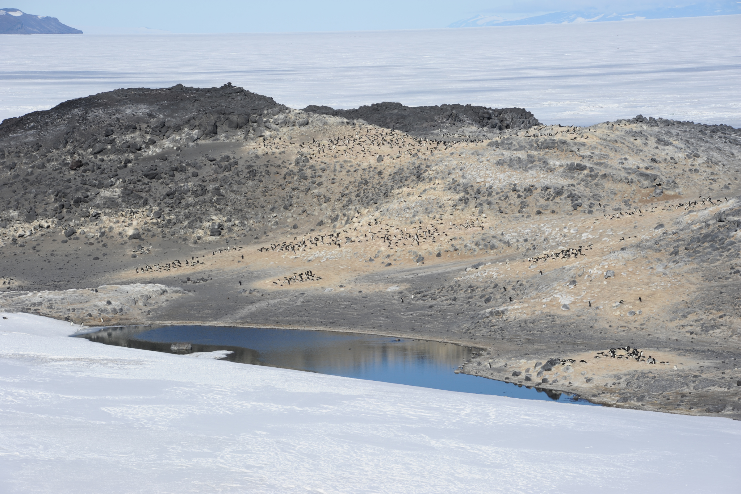 cape royds, ross island.webp